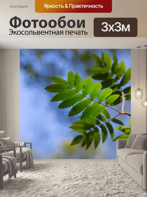 Фотообои Зеленые листья