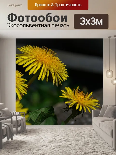 Фотообои Одуванчики