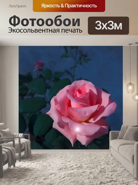 Фотообои Розы ночью