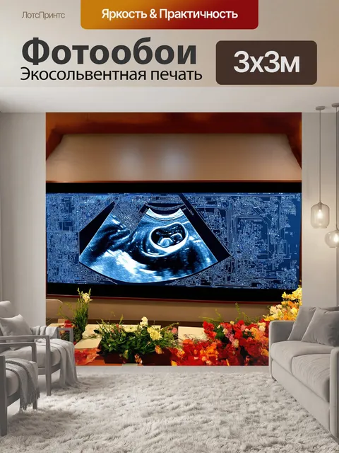 Фотообои на большом прозрачном экране