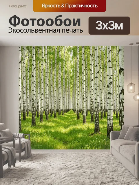 Фотообои Берёзовая роща в солнечный день
