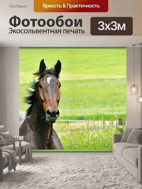 Фотообои Конь акварельная живопись
