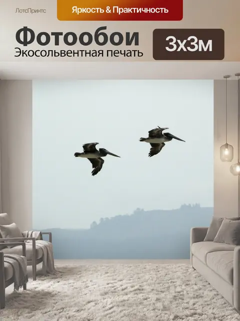 Фотообои Летающий