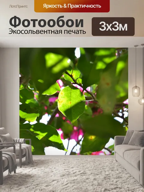 Фотообои Лист