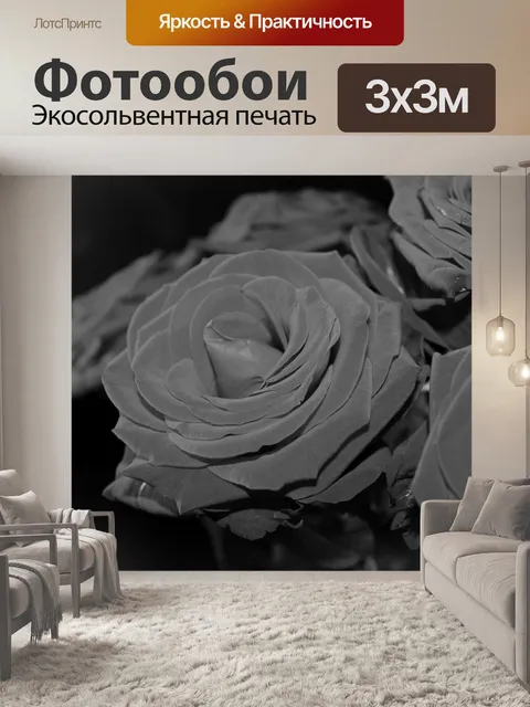 Фотообои Черно-белый