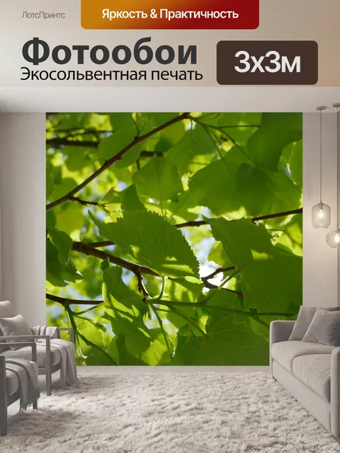 Фотообои Листья
