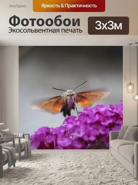 Фотообои Цветы