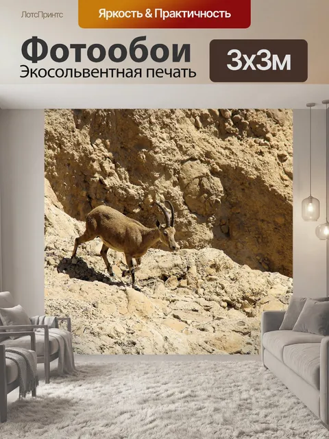 Фотообои Самка козерога с маленьким ребенком