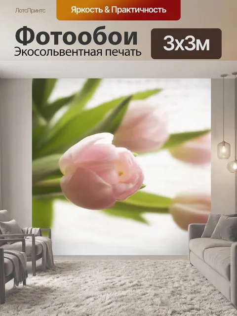Фотообои Тюльпан