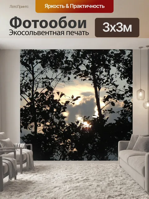 Фотообои Деревья