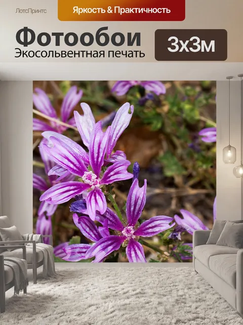 Фотообои Цветы