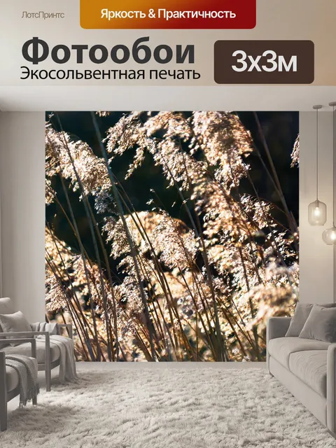 Фотообои Тростник