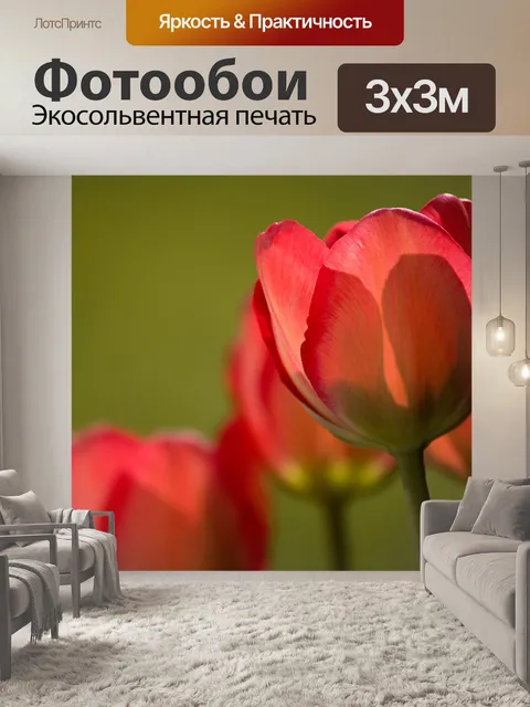 Фотообои Тюльпаны