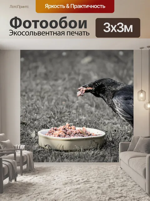 Фотообои Ворон