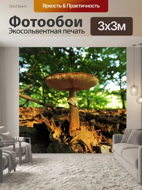 Фотообои Хаба