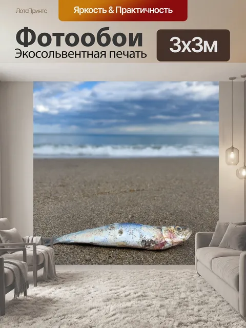 Фотообои Мертвая рыба на берегу