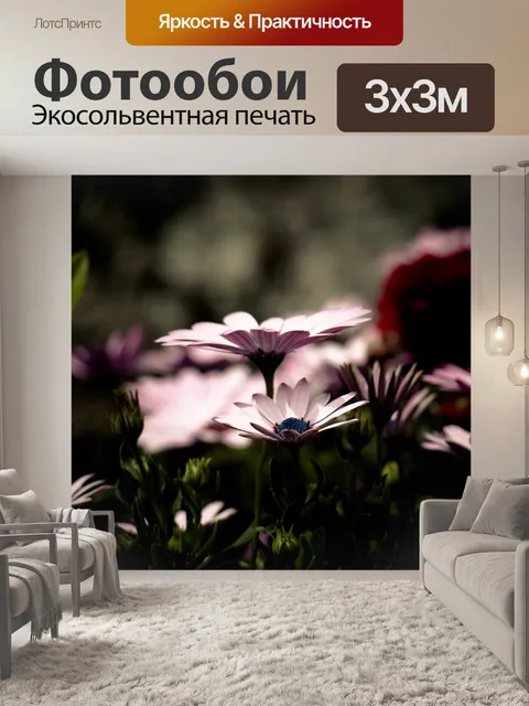 Фотообои Цветы герберы комнатные