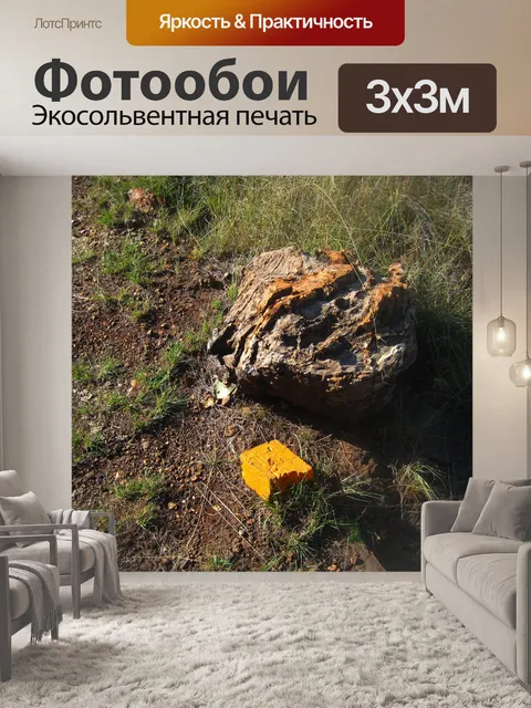 Фотообои утреннее солнце на оранжевом маркере