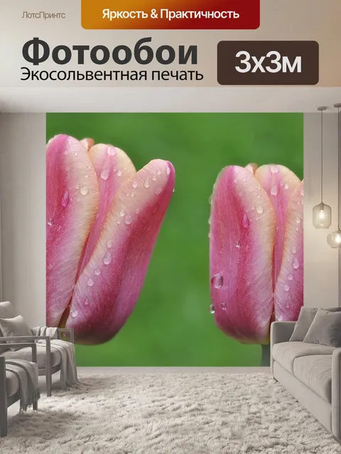 Фотообои Тюльпаны