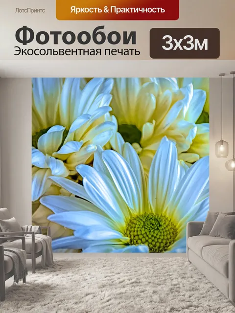 Фотообои Ромашки