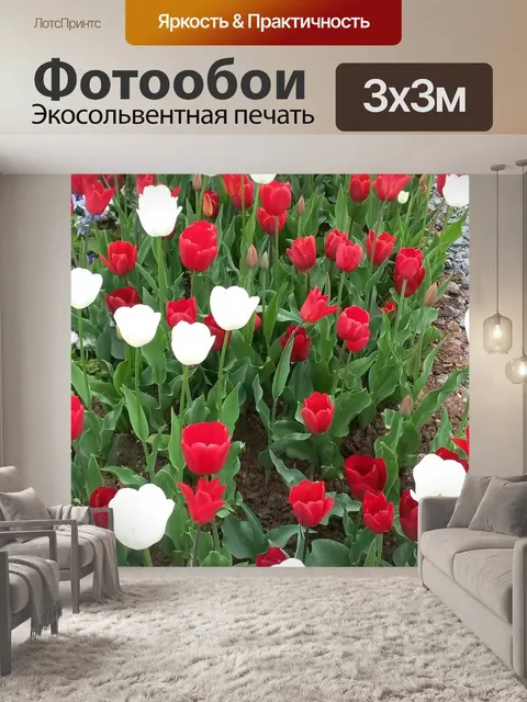 Фотообои Тюльпаны