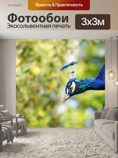 Фотообои Павлин