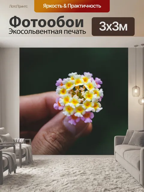 Фотообои Цветок