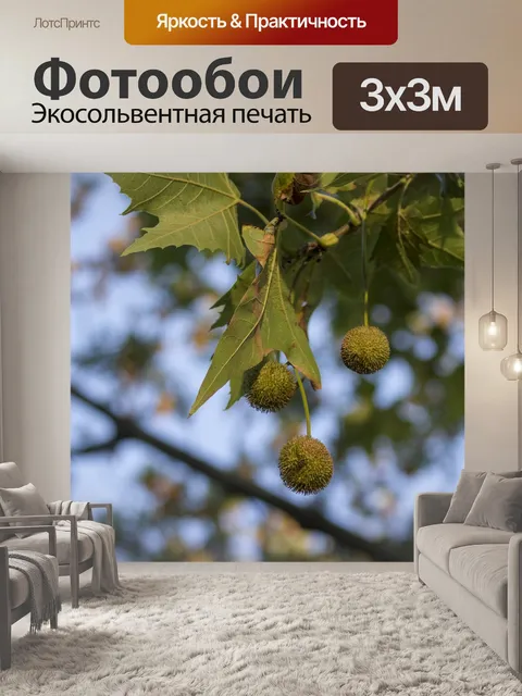 Фотообои Каштан