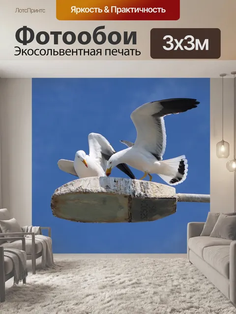 Фотообои Птица