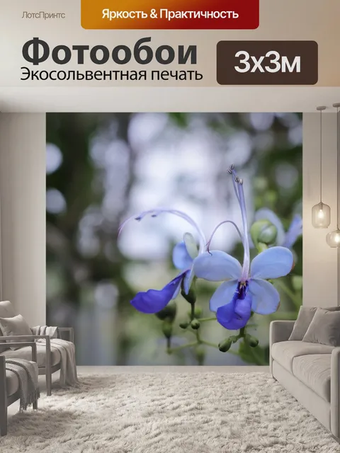 Фотообои Бабочка