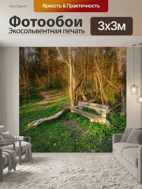 Фотообои Лес