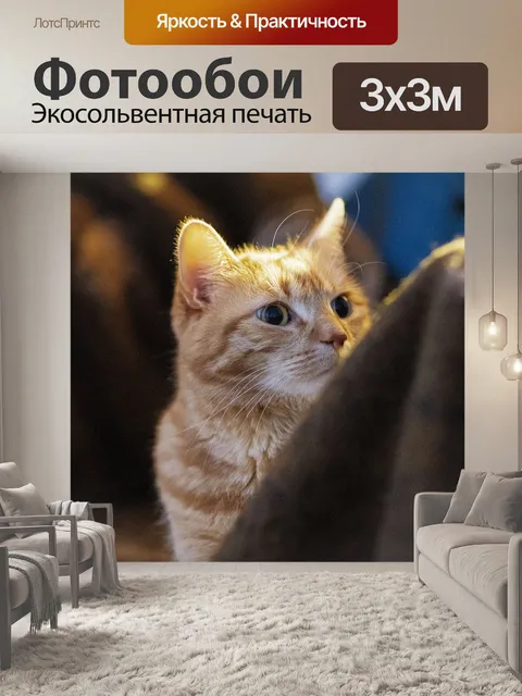 Фотообои Кот
