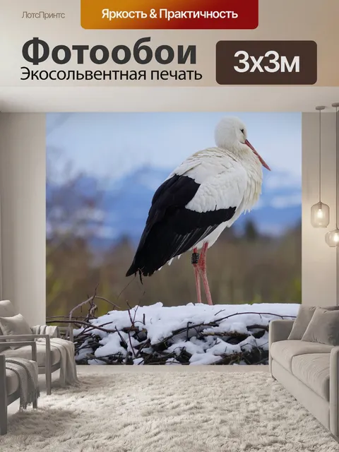 Фотообои Аист