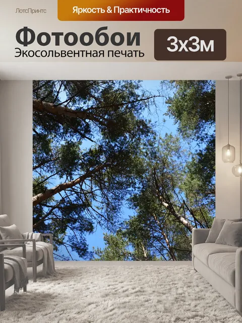 Фотообои Сосны