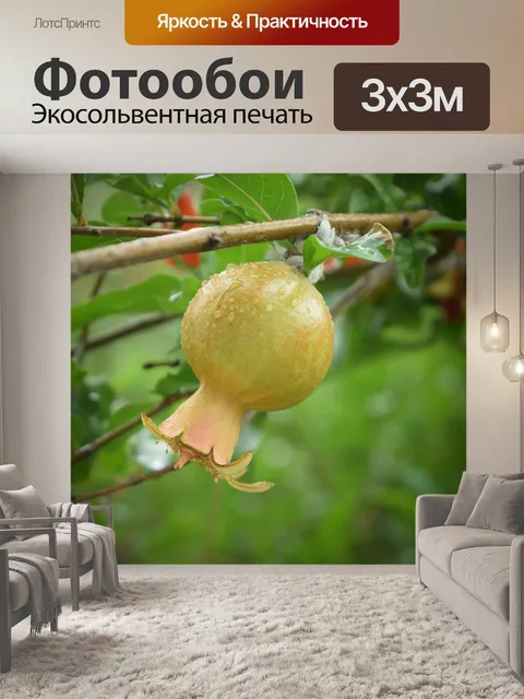 Фотообои Дождь