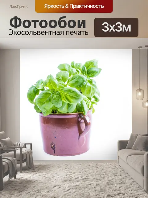 Фотообои Бэзил