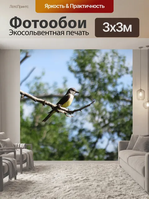 Фотообои Птица