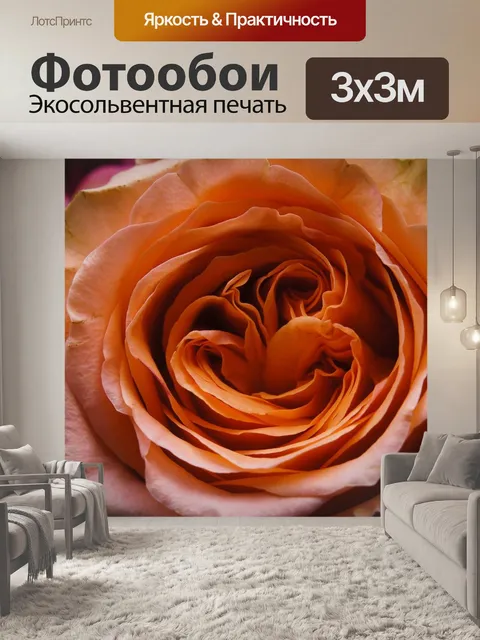 Фотообои Роза