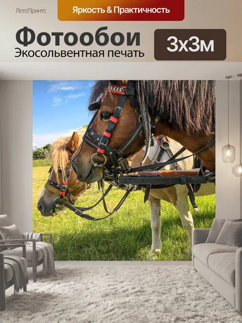 Фотообои Лошади