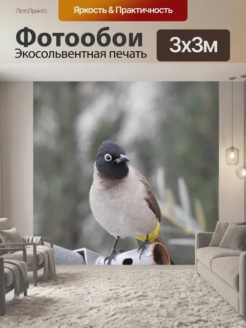 Фотообои Птицы