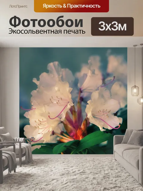 Фотообои Цветы