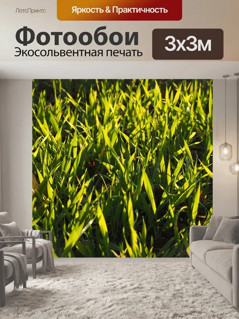 Фотообои Семя