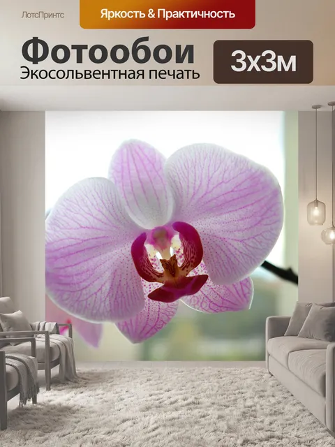 Фотообои Цветы