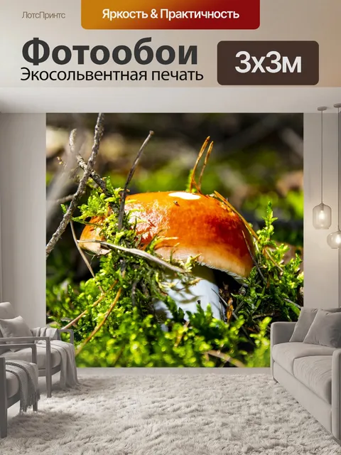 Фотообои Лес