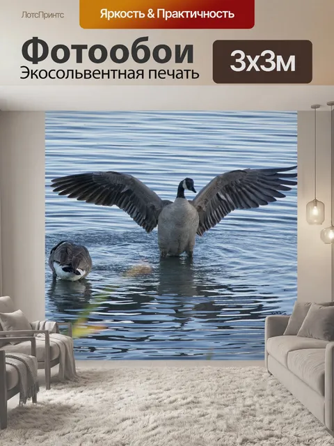 Фотообои Гуси