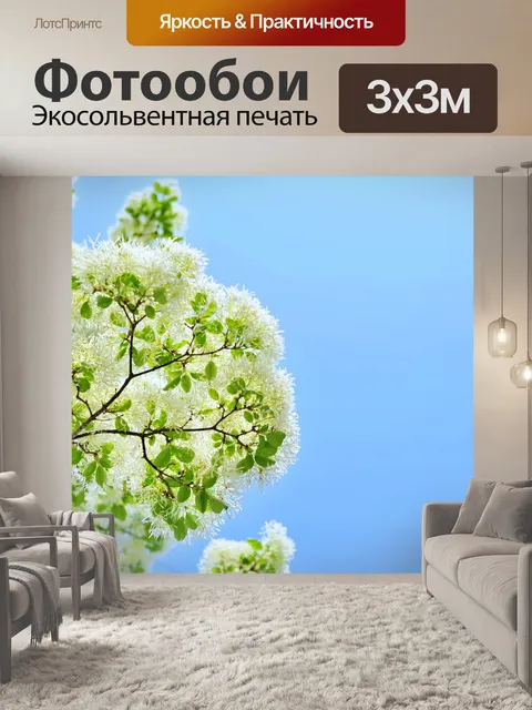 Фотообои Тополь