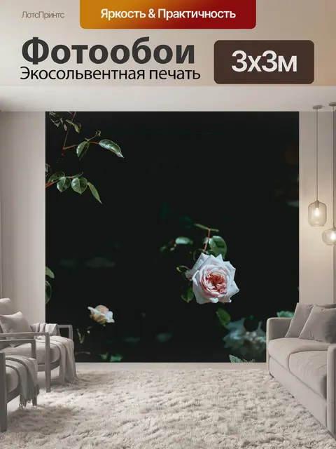 Фотообои Розы