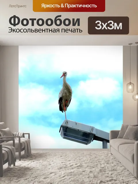 Фотообои Аист
