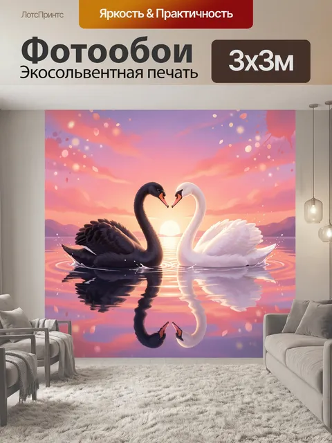 Фотообои Черный и белый лебеди на закате