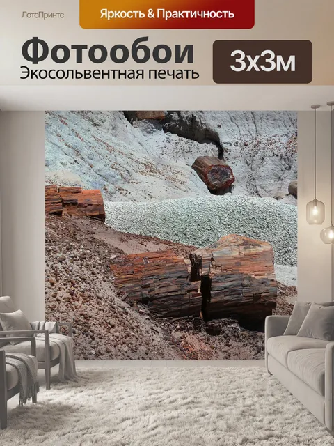 Фотообои Окаменел